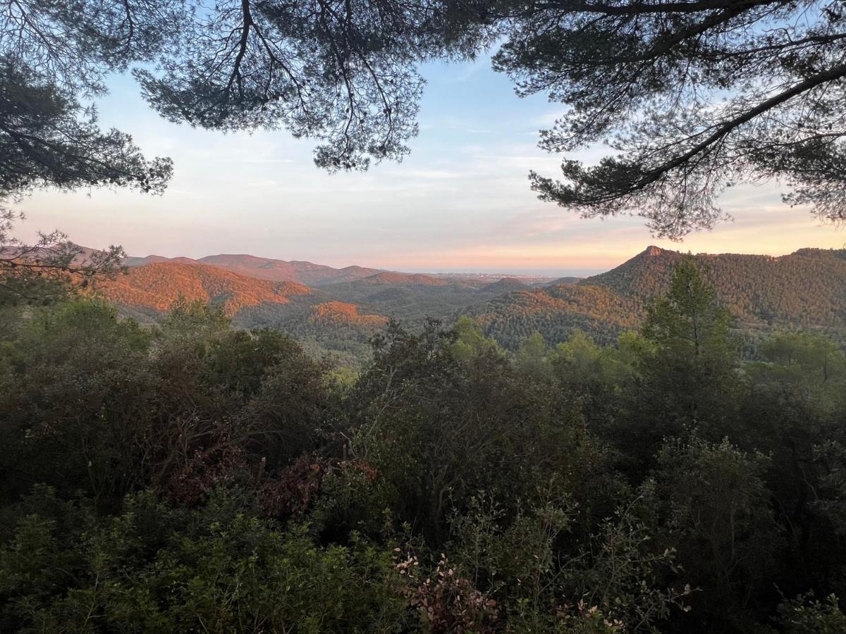 Villa Soanne Bagnols-en-Forêt 外观 照片